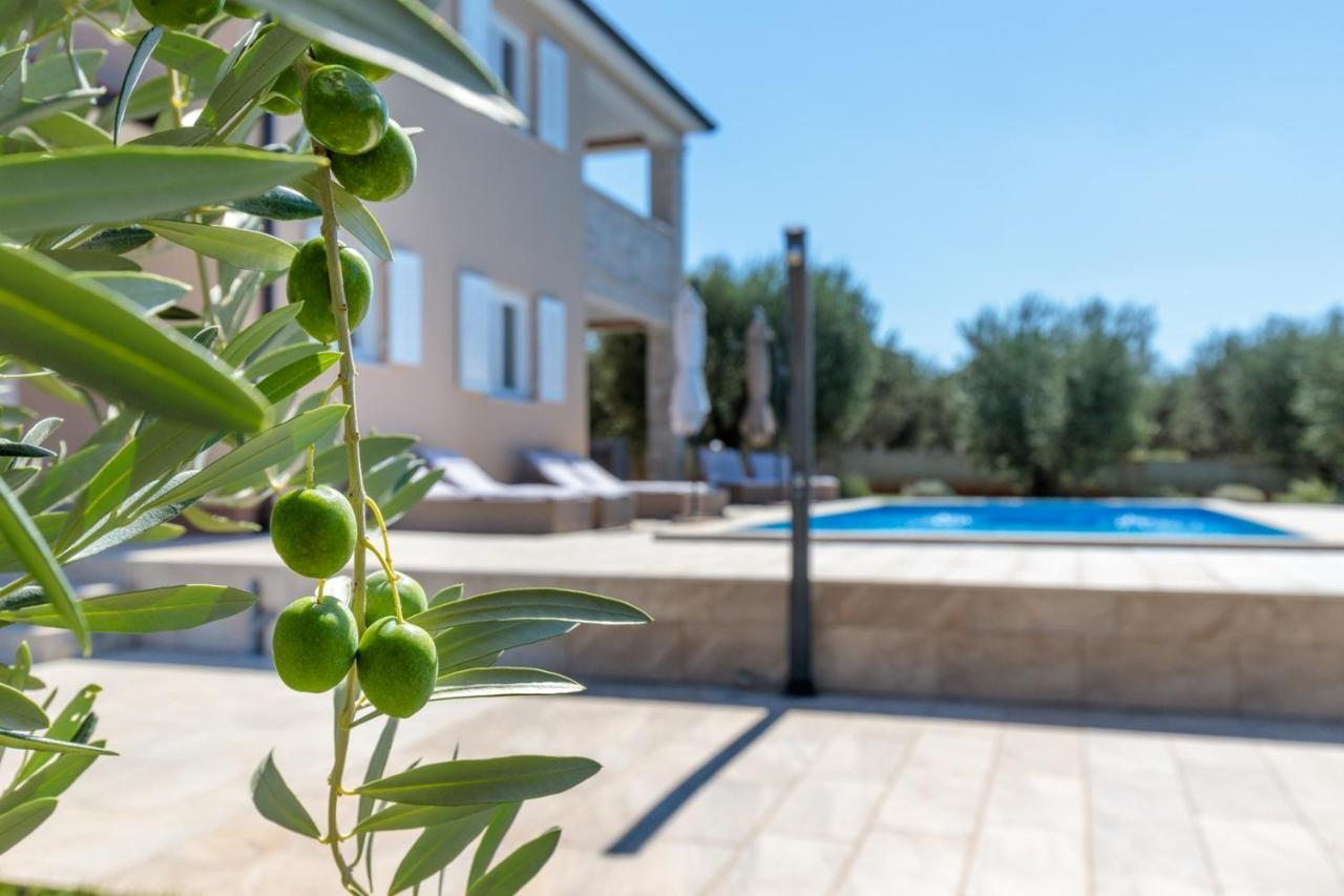 Villa Terlevic Selina Dış mekan fotoğraf